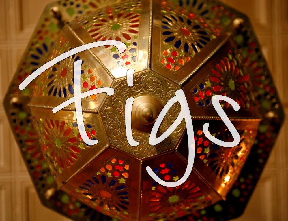 figs-logo